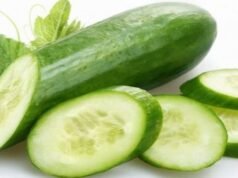 Segreti in cucina: semplici modi per riconoscere un cetriolo amaro dall’esterno