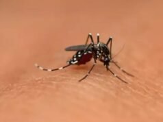 Giornata mondiale contro la malaria: rassegna completa dei sintomi e come prevenirla!