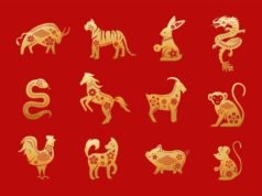 Questi 6 zodiaci Shio sono davvero fortunati martedì 21 aprile 2026! La grande fortuna e il successo arrivano al momento giusto