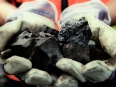 Si ritiene che il divieto del trasporto di carbone nel sud di Sumatra costituisca una potenziale violazione della legge e possa essere denunciato