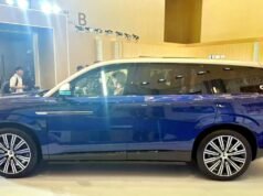 I PHEV sono considerati una soluzione di transizione in un contesto di infrastrutture per veicoli elettrici irregolari