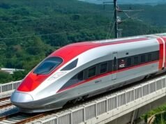 La causa dell’improvviso stop di Whoosh a Kopo è stata rivelata, apparentemente perché Seng è entrato nei binari