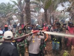 Rivelati 500 ettari di incendi boschivi e terrestri, la polizia di Pelalawan arresta gli autori di incendi di terreni