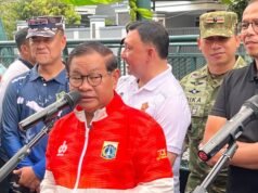 Pramono: I pesci Sapu-sapu sono carini, ma pericolosi