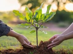 Giornata della Terra 2026, ecco 5 modi per iniziare uno stile di vita rispettoso dell’ambiente partendo da cose semplici