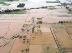 Migliaia di ettari di risaie ripristinati, garantendo la sicurezza alimentare nelle aree colpite
