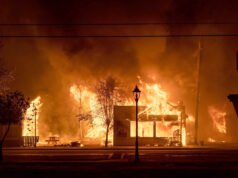 La scossa del servizio forestale arriva mentre si avvicina la rischiosa stagione degli incendi