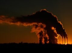 Spiegare l’uso da parte di Trump dei poteri di emergenza per sostenere il carbone