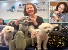 Incontra i newyorkesi che salvano centinaia di adorabili cani dal finire nel menu