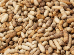 Aggiornamento sul richiamo delle arachidi per 19 stati mentre la FDA stabilisce il livello di rischio