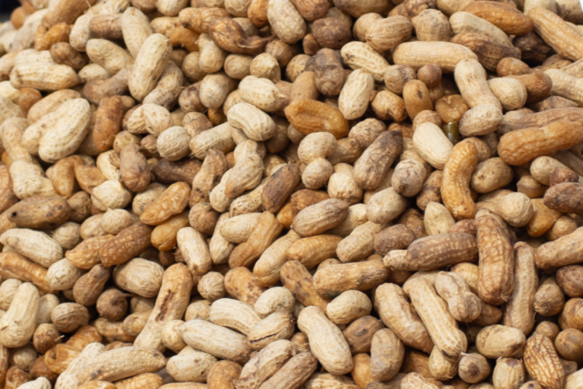 Copy-of-32-image-2026-04-04T140042.177.png