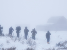 Allarme neve forte, colpi fino a 12 pollici: “Condizioni pericolose”