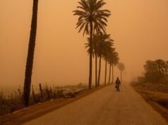 La crisi di Hormuz stimola un corridoio commerciale iracheno da 24 miliardi di dollari mentre le rotte del Golfo cambiano