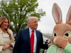 I prezzi delle uova sono scesi dell’80%