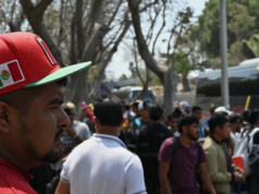 Catone sostiene che i migranti pagano più tasse dell’americano medio