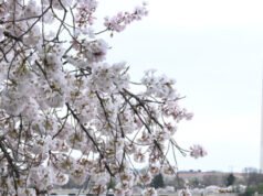 L’economia ora ha bisogno di molti meno posti di lavoro per rimanere in salute
