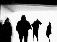 Una mafia di adolescenti danneggia auto e terrorizza i vicini