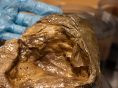 Identificata la “sfera d’oro” trovata durante l’esplorazione delle profondità marine del 2023