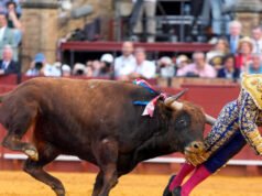 Il “re dei toreri” spagnolo ha subito una ferita da concussione al retto