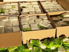 Sequestrati 300 chili di metanfetamine del cartello al confine con il Texas