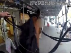 L’inseguimento a cavallo del presunto ladro della polizia di New York sulla parola per omicidio scatena la furia