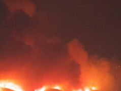 Trump esamina la gestione delle richieste di indennizzo per incendio di Los Angeles da parte delle compagnie assicurative