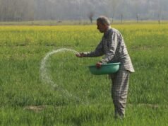 “Tutto dipende dal raccolto”: la crisi del Golfo colpisce gli agricoltori dell’Asia meridionale