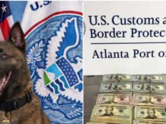 Il “pub” del cane poliziotto aiuta a sequestrare 75.000 dollari in contanti illeciti all’aeroporto di Atlanta