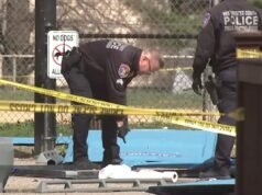 Adolescente di New York ha fatto saltare in aria una toilette portatile con una bomba fatta in casa: poliziotti