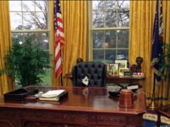 Trump chiede al Congresso di presentare sulla sua scrivania il disegno di legge di riconciliazione entro il 1° giugno