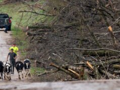 20 tornado confermati mentre il maltempo colpisce il Midwest