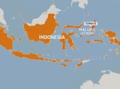 Terremoto di magnitudo 7.4 colpisce Ternate, Indonesia, scatta l’allerta tsunami