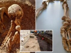 Il mistero si approfondisce quando scheletri con ferite di spada vengono trovati sotto una scuola elementare