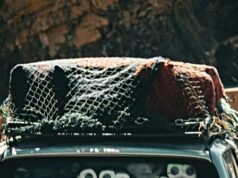 Una casa automobilistica cinese brevetta la toilette di bordo a comando vocale