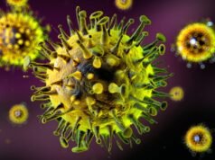 Il ceppo influenzale super-K si sta diffondendo rapidamente ed è “estremamente pericoloso”