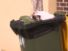 Perché questa settimana i bidoni pieni vengono lasciati per strada