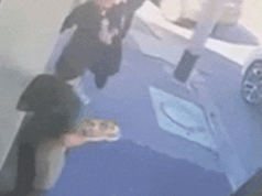 Il bar fa appello dopo che le telecamere a circuito chiuso mostrano una donna che spacca il piatto in faccia alla cameriera