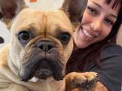 Perché stiamo assistendo all’aumento dei proprietari di animali domestici nelle periferie australiane