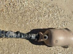 Gamba protesica ritrovata in un popolare luogo di pesca, la polizia indaga