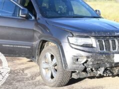 La polizia indaga sulla “morte sospetta” di una donna la cui auto sarebbe stata investita da un canguro