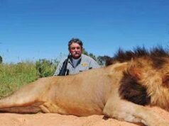 Cacciatore di trofei milionario americano ucciso da un branco di elefanti