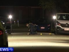 Il ragazzo muore dopo essere stato investito dall’auto guidata dal vicino di Melbourne