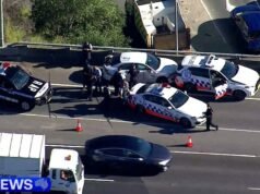 La polizia indaga se la “kill car” fosse guidata da una squadra criminale a noleggio