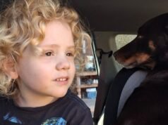 Il miglior poliziotto “certi” poliziotti torneranno a casa di Gus mentre spera in una “svolta decisiva”