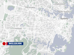 Una mangiatoia per gatti randagi è stata aggredita e ha perso i sensi nella parte occidentale di Sydney