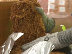 Un mostruoso carico di tabacco illecito scoperto in una valigia