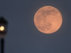 Perché l’evento Pink Moon di domani potrebbe non essere quello che ti aspetti