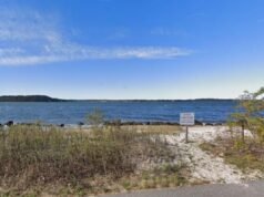 Il corpo di una donna trovato galleggiante nel Long Island Sound ha dato il via a un’indagine per omicidio
