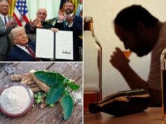 Cos’è l’ibogaina? La FDA accelera la revisione dei farmaci per la salute mentale