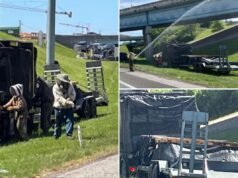 1 milione di api sciamano in autostrada dopo che un incidente ha bloccato la rampa interstatale per ore